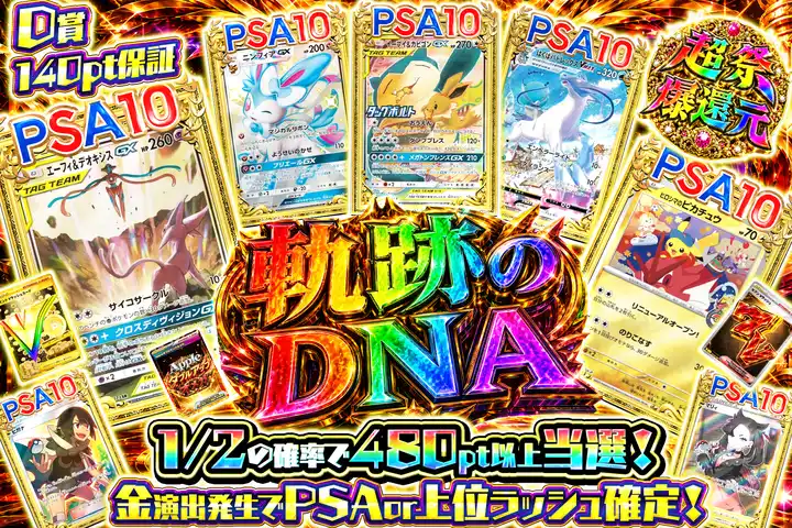 軌跡のDNA